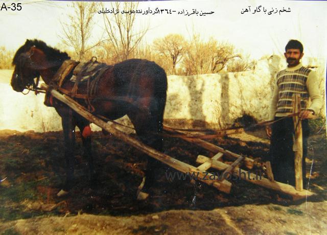 زاوش-عموم (71)