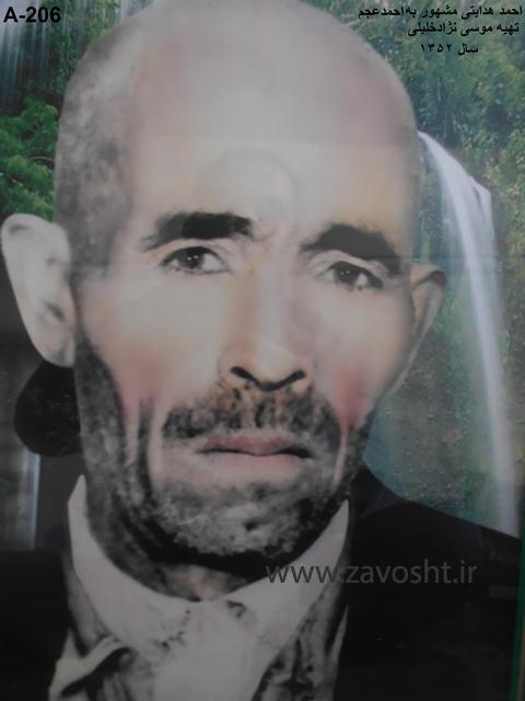نمایش زاوشت انف (10)